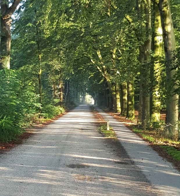 CampingDeGraafschap-Nabij